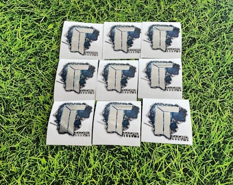 X9 Titan Katowice 2014 Stickers from CS GO in Real Life Set, Global Offensive Decal, Csgo Gamer Sticker, CS 2 Gamer Gift, iBuyPower Stickers