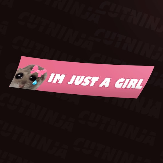 Sad crying Hamster Meme Sticker - Im just a girl 9"- funny car decal gift