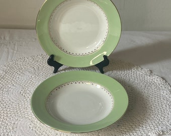 French Vintage L’Amandinoise Pair of Mid Century Colourful Border Deep Dinner Plates Hollow Plate with Gold Rim and Motif Pale Green