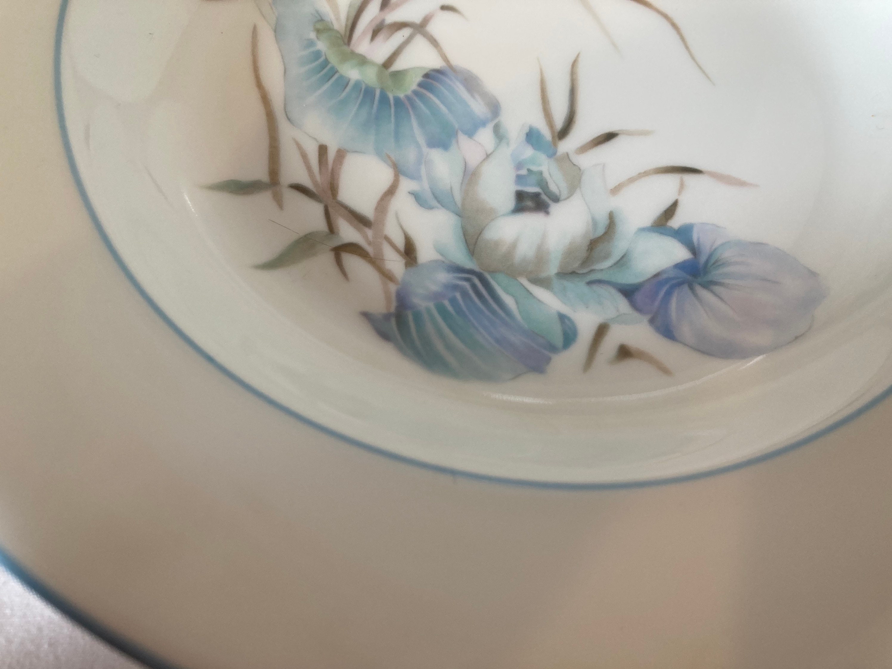 LIMOGES リモージュCHASTAGNER & C プレート 食器・キッチン用品