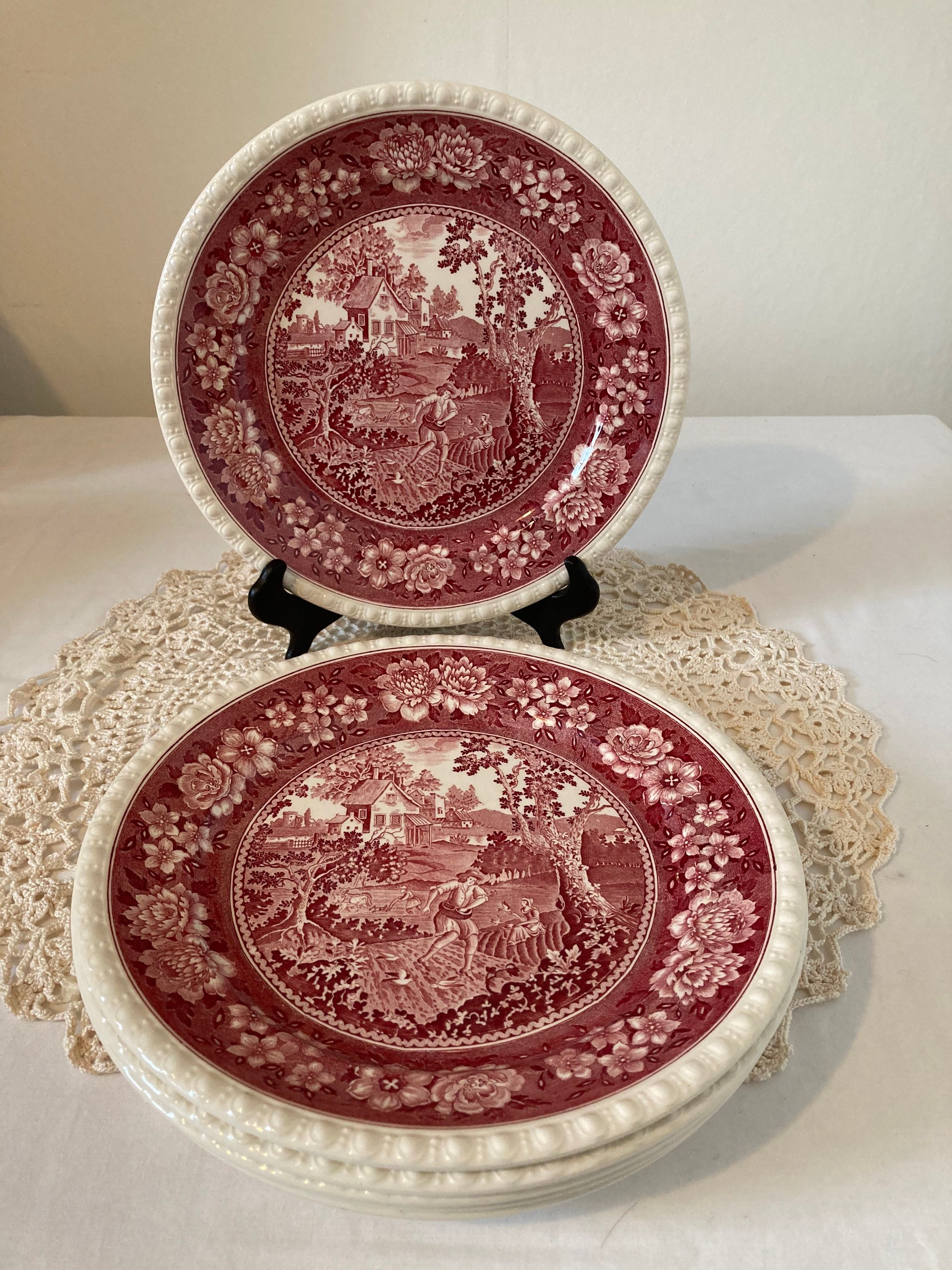 Superbe Villeroy Vintage et Boch Rusticana Ensemble de Six Assiettes Servant Des Rose Rougeâtre Crèm