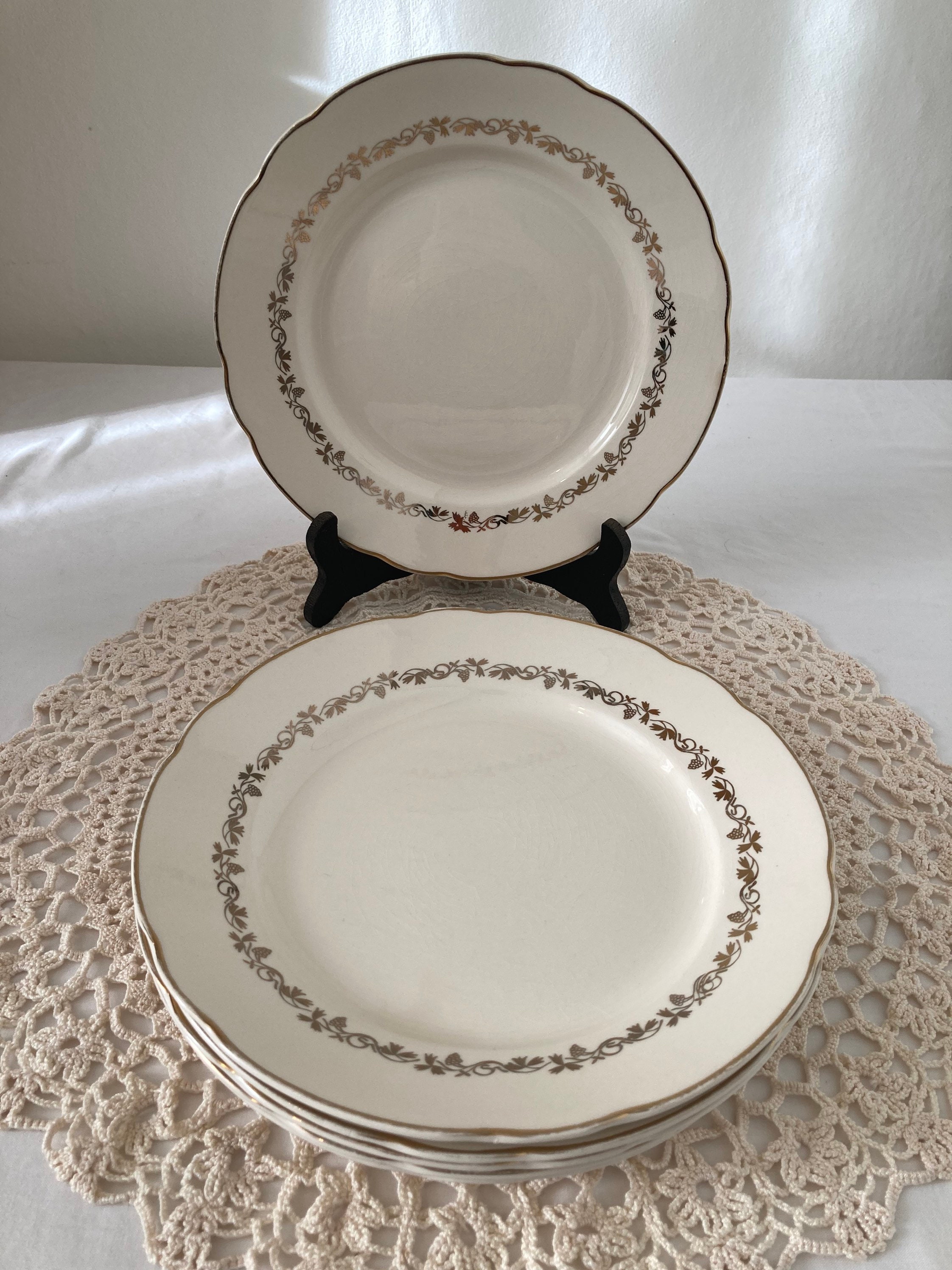 Vintage Villeroy and Boch Set of 6 Mid Century Dinner Plates Etsy UK