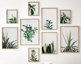 Botanical Gallery Wall Set of 9 prints, Green Leaves Photograph Prints, Minimalist Plants Set, Printable Wall Art