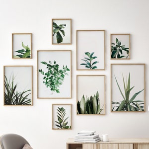 May include: A white wall with a gallery wall of framed botanical prints. The prints feature various green plants and leaves in different styles and sizes. The frames are all gold and have a simple design.