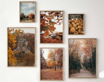 Autumn gallery wall set of 6 prints, fall landscape photography, autumn nature digital download, printable wall art