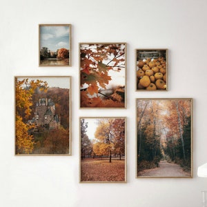 Herbst Galeriewand-Set mit 6 Drucken, Herbst Landschaftsfotografie, Herbst Natur digitaler Download, druckbare Wandkunst