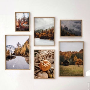 Herbst-Galeriewand-Set mit 6 Drucken, Herbstlandschaft, Herbstwald Poster, Kürbisse Fotokunst, druckbare Wandkunst