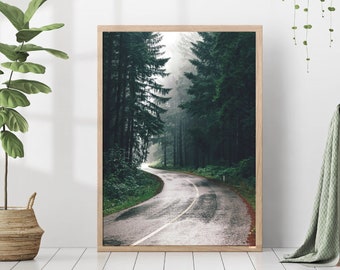 May include: A framed photograph of a winding road through a misty forest. The road is paved and leads into the distance, surrounded by tall, green trees.