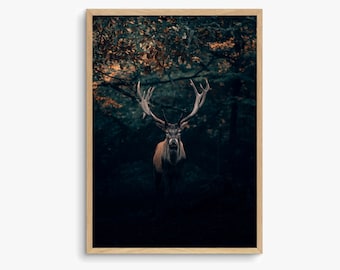 Red Deer Photography Print, Dark Forest Landscape (Digital Download)