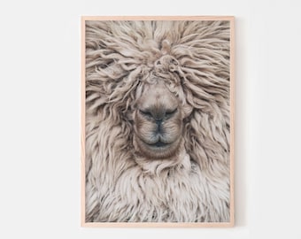 Alpaca Wall Art Print, Llama Photography, Nursery Animal Decor, Neutral Alpaca Poster, Printable Wall Art