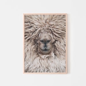 Impressão de arte de parede de alpaca, fotografia de lhama, decoração de animais de berçário, pôster de alpaca neutro, arte de parede imprimível
