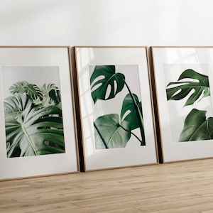 Grüne Wandkunst, Monstera 3er Set, dunkelgrüne Digitaldrucke, Blätter Foto Poster, printable Wandkunst