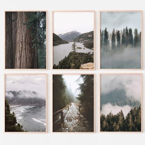 Landscape Wall Art, Forest Set of 6 prints, Nature Gallery Wall Prints, Nordic Printable Wall Art