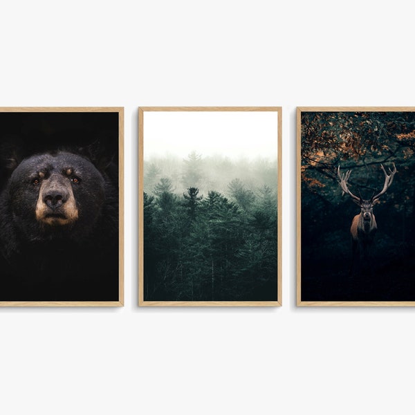 3 piece wall art, deer prints wall art, wildlife print set of 3, wild animals photography, bear print set, Nordic Printable Wall Art