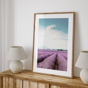 May include: A framed photograph of a lavender field with rows of purple flowers stretching out to a distant mountain range under a blue sky with a single white cloud.