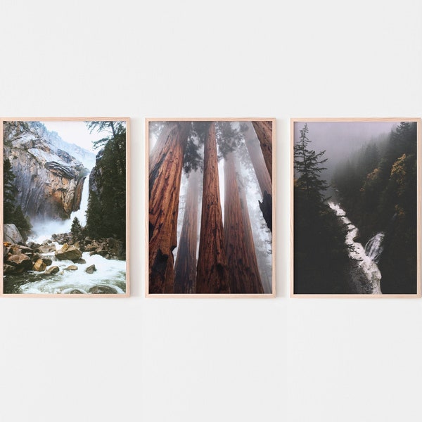 Redwood Forest Wall Art Set van 3 prints, Yosemite Waterfall Art, California National Park Gallery Wall, Afdrukbare muurkunst