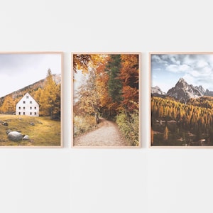 Fall Landscape Set of 3 prints, Autumn Nature posters, Fall Forest Photography Prints, Farmhouse Nature Decor, Printable Wall Art