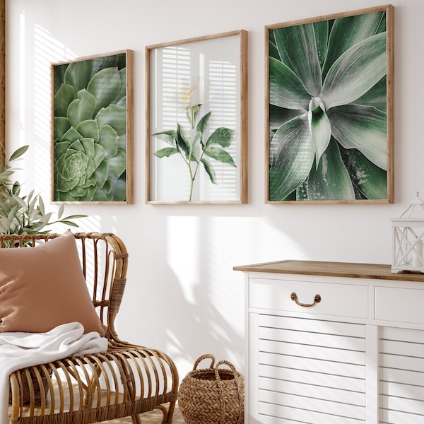 Green and white gallery wall art prints, botanical prints set of 3, white flower photography, printable wall art