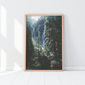 Nebliger Wald Druck, dunkel grün Wald Fotografie, Berg Landschaft Wand Kunst, nordische Natur Wand Dekor, druckbare Wand Kunst