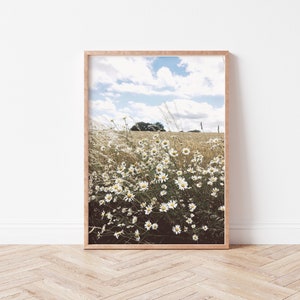 Daisy field print, daisies photography, farm flowers digital poster, wildflowers print, printable wall art