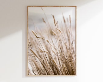 May include: A framed photograph of tall, dried grasses in shades of beige and brown, with a blurred background.