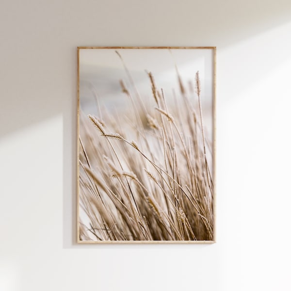 Coastal Dried grass print, country wheat field poster, boho landscape photography, printable wall art