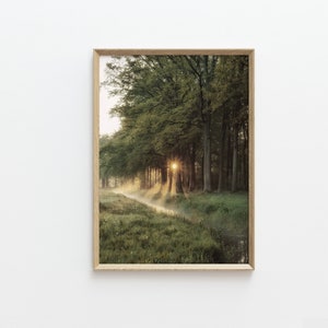 Dunkelgrüner Wald Poster, moderne Landschaftsfotografie, dunkelgrüne Natur Poster, druckbare Wandkunst