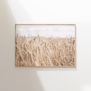 May include: A framed photograph of a field of golden wheat swaying in the breeze. The wheat is in focus, while the background is blurred, creating a soft, dreamy effect.
