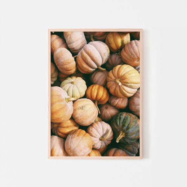 Fall Pumpkins Print, Autumn Pumpkin Photography, Farmhouse Fall Decor, Printable Wall Art