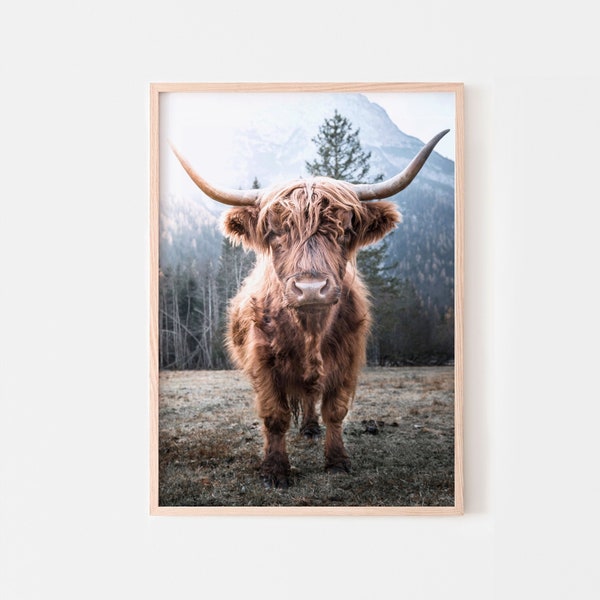 Highland Cow print, Scottish animal photography, Scotland cow poster, printable wall art