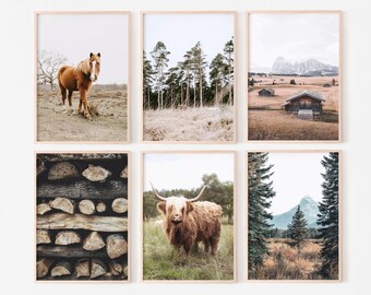 Nature gallery wall set of 6 prints, nature photography prints, highland cow poster, landscape gallery art, printable wall art