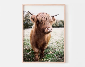Highland Cow Smoking a Cigarette - Highland Cattle - Digital Art - Digital  Art Cow, Cow Art, Cow Poster, Cow Print