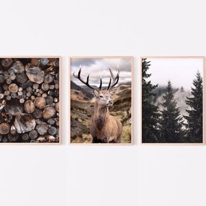 Natur Galerie Wand 3er Set, Natur Drucke, Hirsch Fotografie, dunkler Wald Druck, Holz Holzstapel Poster, nordische druckbare Wandkunst