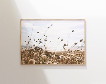 Neutral Dried Grass Print, Boho Pampas Poster, Coastal Reeds Photo, Printable Wall Art
