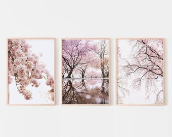 Cherry Blossom wall art prints set of 3, spring flowers photography, Sakura floral poster, Cherry Blossom tree print, printable wall art