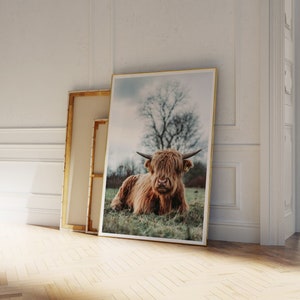 Highland cow print, digital download, highland cow poster, printable wall art