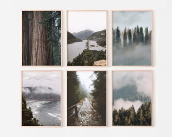 Landscape Wall Art, Forest Set of 6 prints, Nature Gallery Wall Prints, Nordic Printable Wall Art