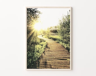 Forest pathway print, sunset nature photography, green landscape digital poster, printable wall art