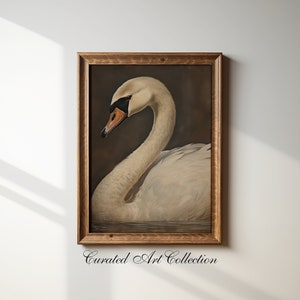 Antique white swan on black background print, vintage swan art print, digital download