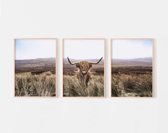 Highland cow tryptic wall art, set of 3 prints, rustic animal photography, cow gallery prints, printable wall art