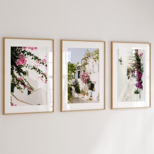May include: Three framed photographs of a white building with pink flowers in a small town. The photos are in wooden frames with white mounts.