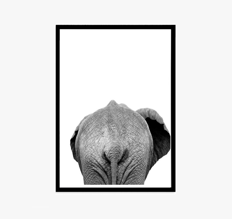 May include: Black and white framed print featuring the rear view of an elephant. The elephant's textured skin and tail are visible, set against a white background. The image is framed in a black border.