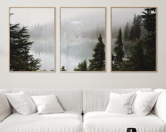 Forest triptych wall art, Canadian nature prints set of 3, foggy misty forest photography, printable wall art