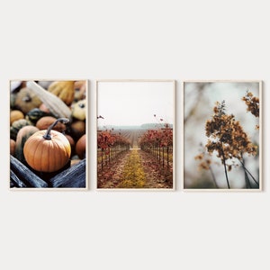 Herbst Drucke 3er Set, digitaler Download, Herbst Landschaftsfotografie, druckbare Wandkunst