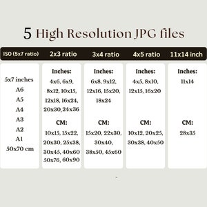 May include: A chart showing different image sizes in inches and centimeters for 5x7, 2x3, 3x4, 4x5, and 11x14 inch ratios. The chart includes ISO paper sizes like A6, A5, A4, A3, A2, and A1.