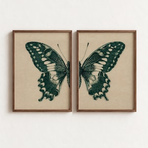 Puede incluir: Dos cuadros rectangulares con marcos de madera fina en color marrón. Cada lámina muestra una ilustración en tinta verde oscuro de la mitad de un ala de mariposa sobre un fondo beige claro, creando una imagen simétrica al colocarlos juntos.