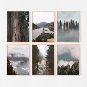Landscape Wall Art, Forest Set of 6 prints, Nature Gallery Wall Prints, Nordic Printable Wall Art