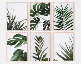 Conjunto de 6 pôsteres com folhas verdes, estilo galeria botânica para parede, arte de parede com plantas tropicais, pôster de Monstera, arte de parede para imprimir.