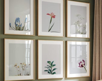 Minimalist Flowers Gallery Wall Set of 6 prints, Botanical Photography, Plant Floral Prints, Printable Wall Art