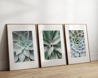 Succulent prints set of 3, succulent photography prints, digital posters, printable wall art